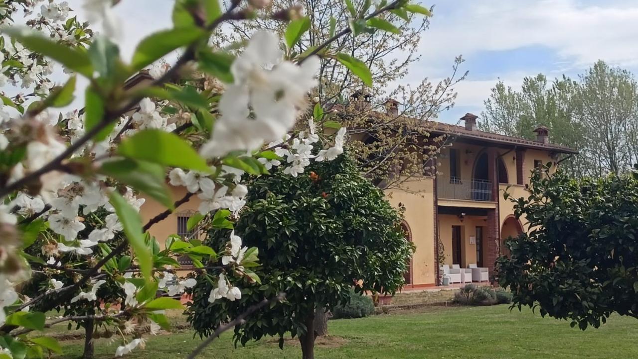Il Chiassetto Agriturismo No Kids Cascina Extérieur photo