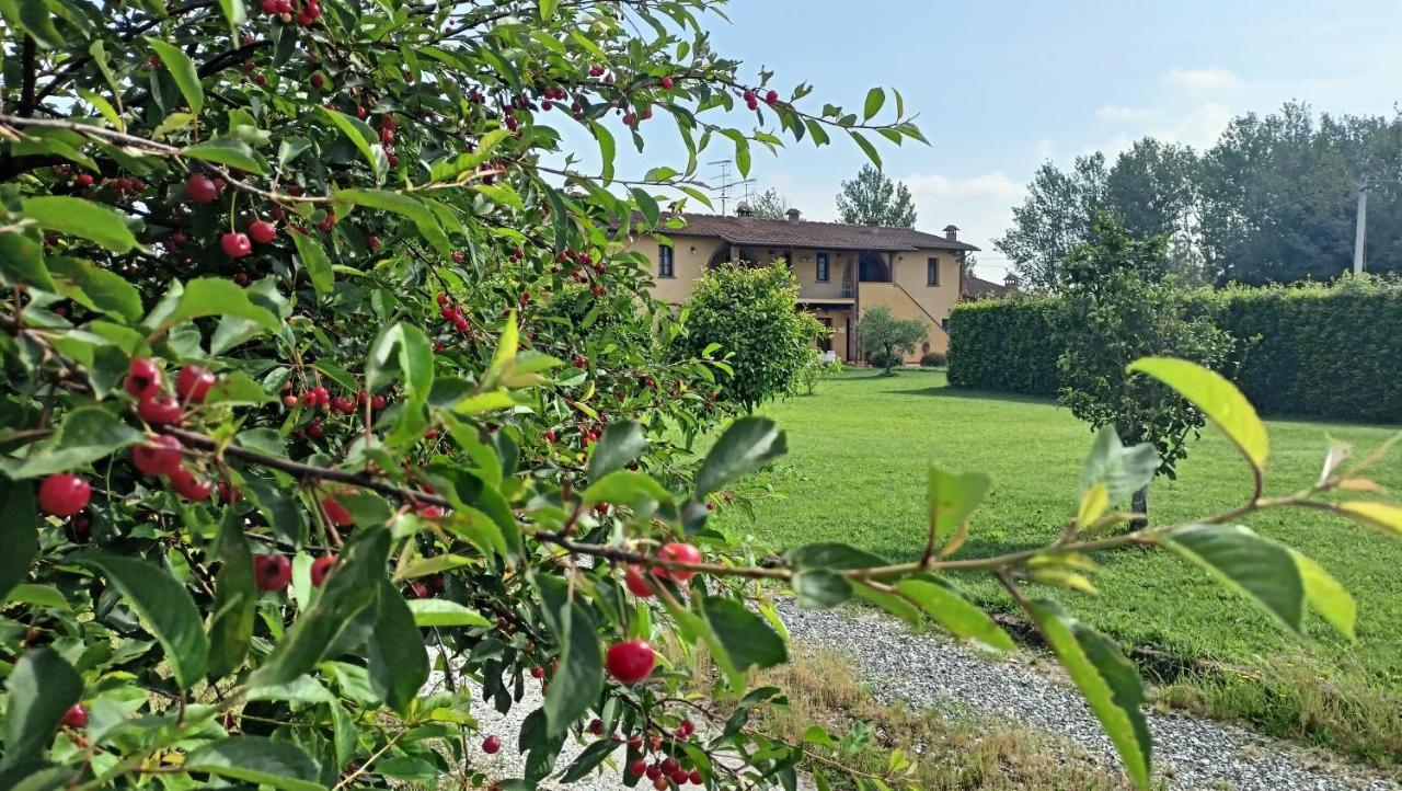 Il Chiassetto Agriturismo No Kids Cascina Extérieur photo